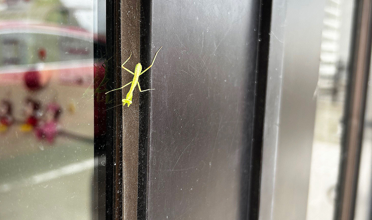 ご来店のお客様